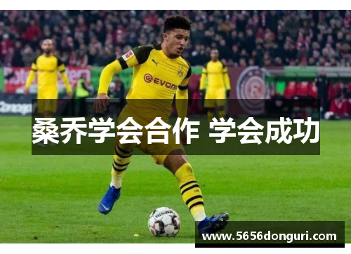 桑乔学会合作 学会成功